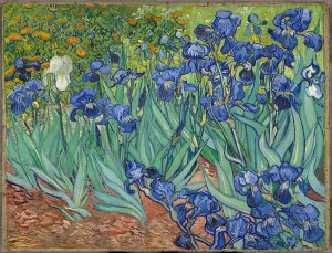 Imperdibles Van Gogh